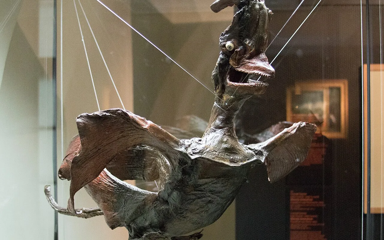 A dragon figure made from a thornback ray in the Cabinet of Curiosities, part of the collection the abbey bought in 1798